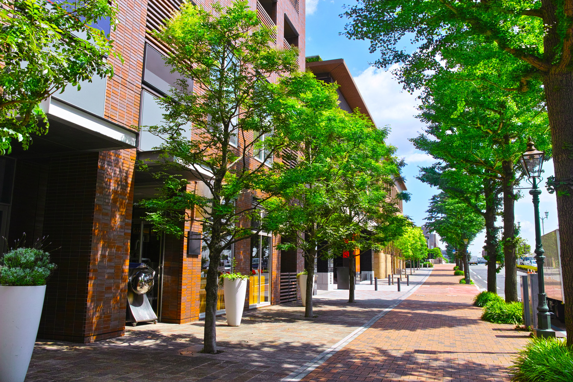 遺産相続　相談