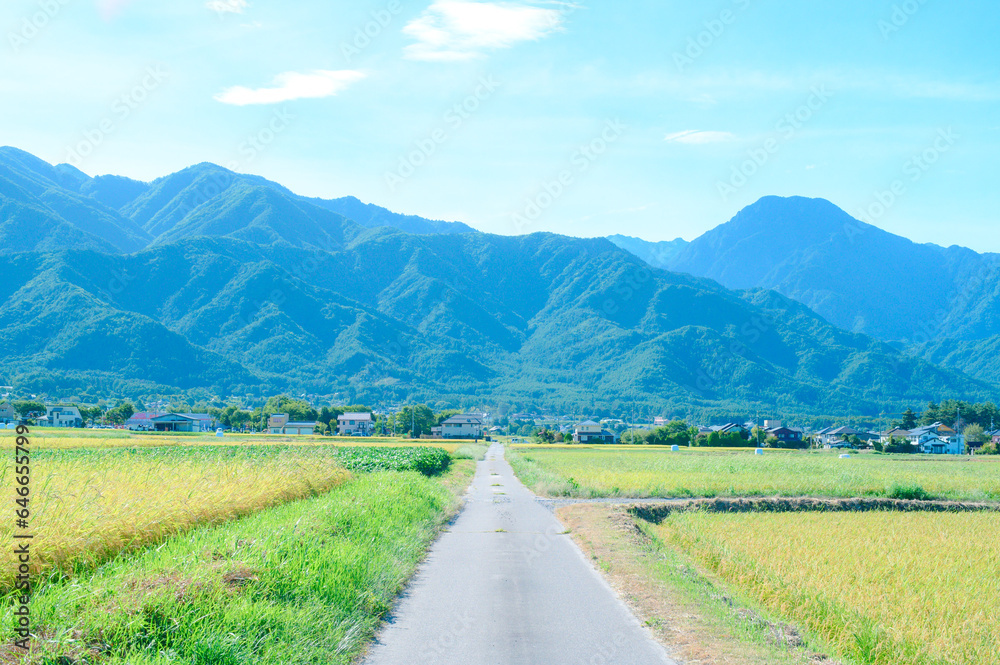やまなみ司法書士事務所